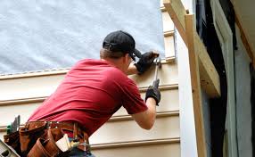 Best Siding Painting and Refinishing  in Oquawka, IL